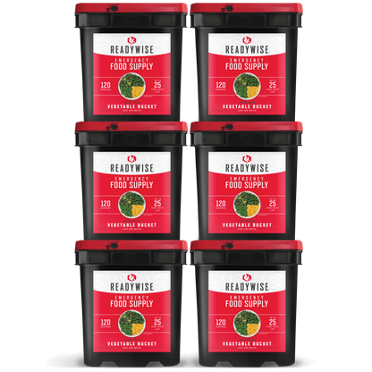 720 Serving Freeze Dried Vegetables (6, 120 serving buckets)